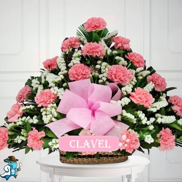 Claveles