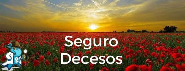 ¿Puedo Contratar un seguro de Decesos con Enfermedad Grave en España?
