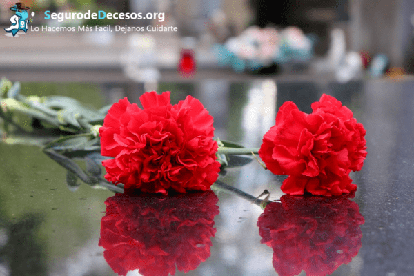¿ Cubre el seguro de decesos las flores en España?
