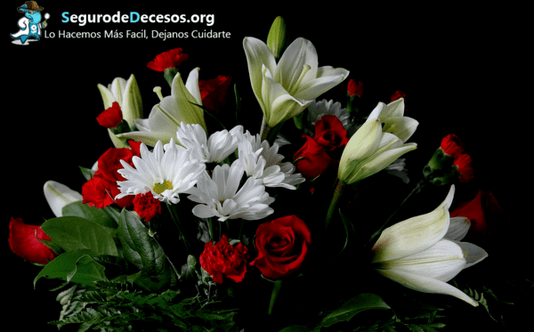 ¿Qué tan importantes son las flores en un seguro de decesos?