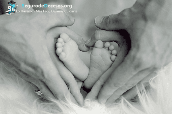 ¿Cuál es el coste de un seguro de decesos si eres padre?